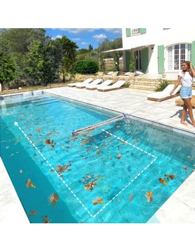 Platypool - Surface cleaning system (landing net)