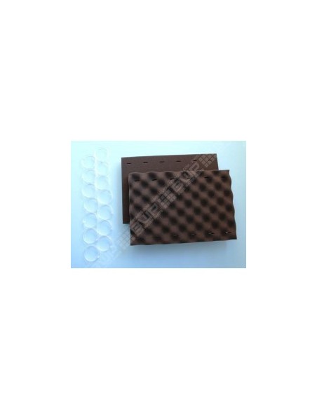 Kit de Mousses noires (x2)