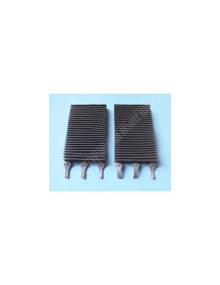 Brosse type 2 R9022 (x2) (ZODIAC)