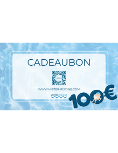 Carte cadeau 100€  2