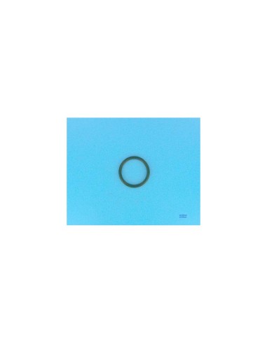 O-ring doorvoerpakking Ø65 mm x6 (x2)  - zandfilter Cantabric