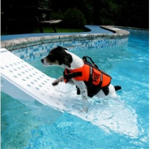 Rampe de piscine pour chien - blanc