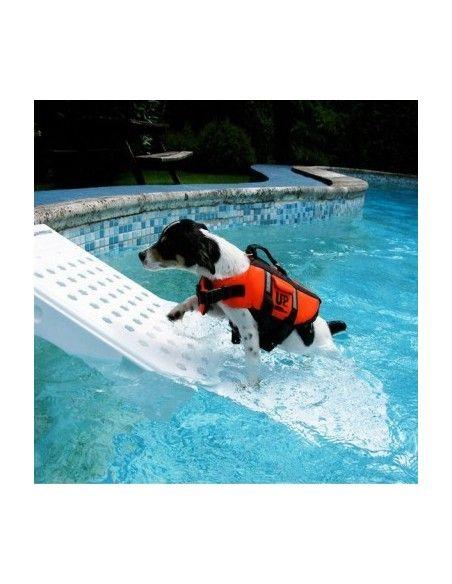 Escalier pour chien - 3 marches Équipement piscine - Achat sur