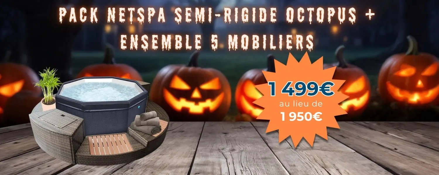 Pack NetSpa semi-rigide Octopus 4 à 6 pl. + Ensemble 5 mobiliers