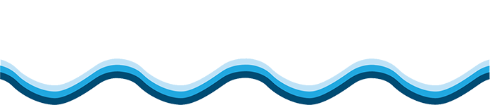 logo Mister Piscine